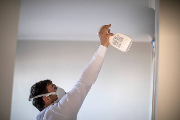 Best Commercial Mold Remediation in Virginia, IL