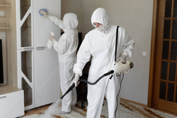 Best Residential Mold Remediation in Virginia, IL