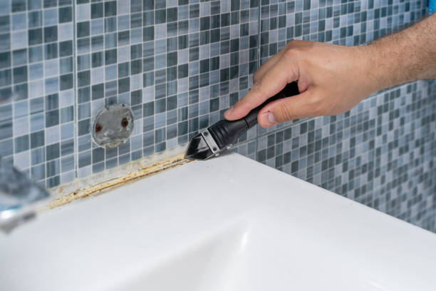 Best Mold Testing and Inspection Services in Virginia, IL