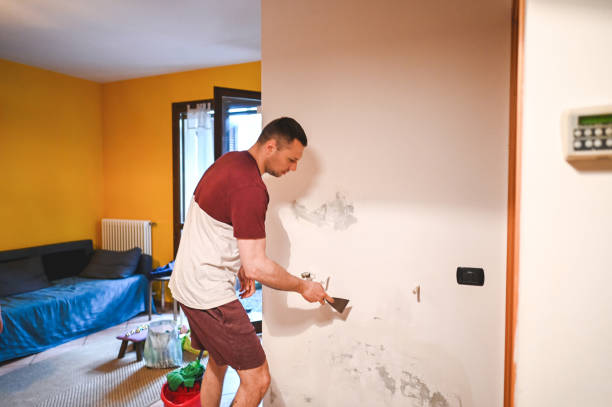 Best Post-Remediation Services in Virginia, IL